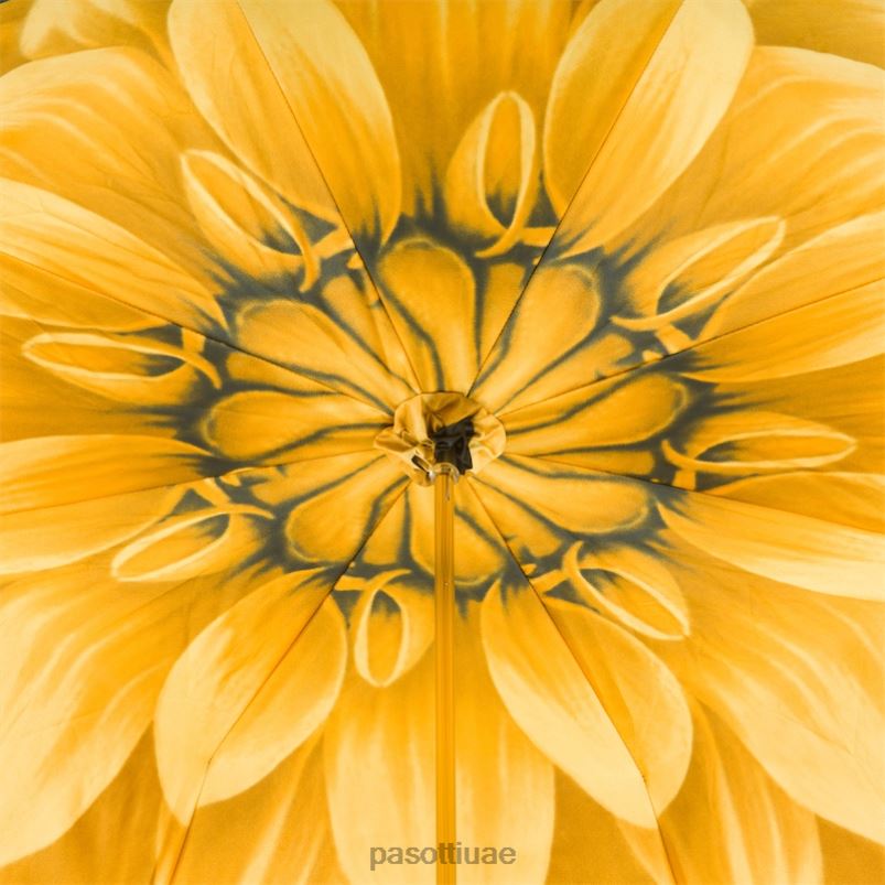 مظلة | 189 21273-6 s8ab - مظلة داليا ذهبية فاخرة، قماش مزدوج PASOTTI Z446V387